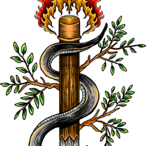 attourynoury-snake-8440574_640